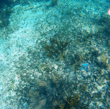 El Cenote Yax Kin Camping